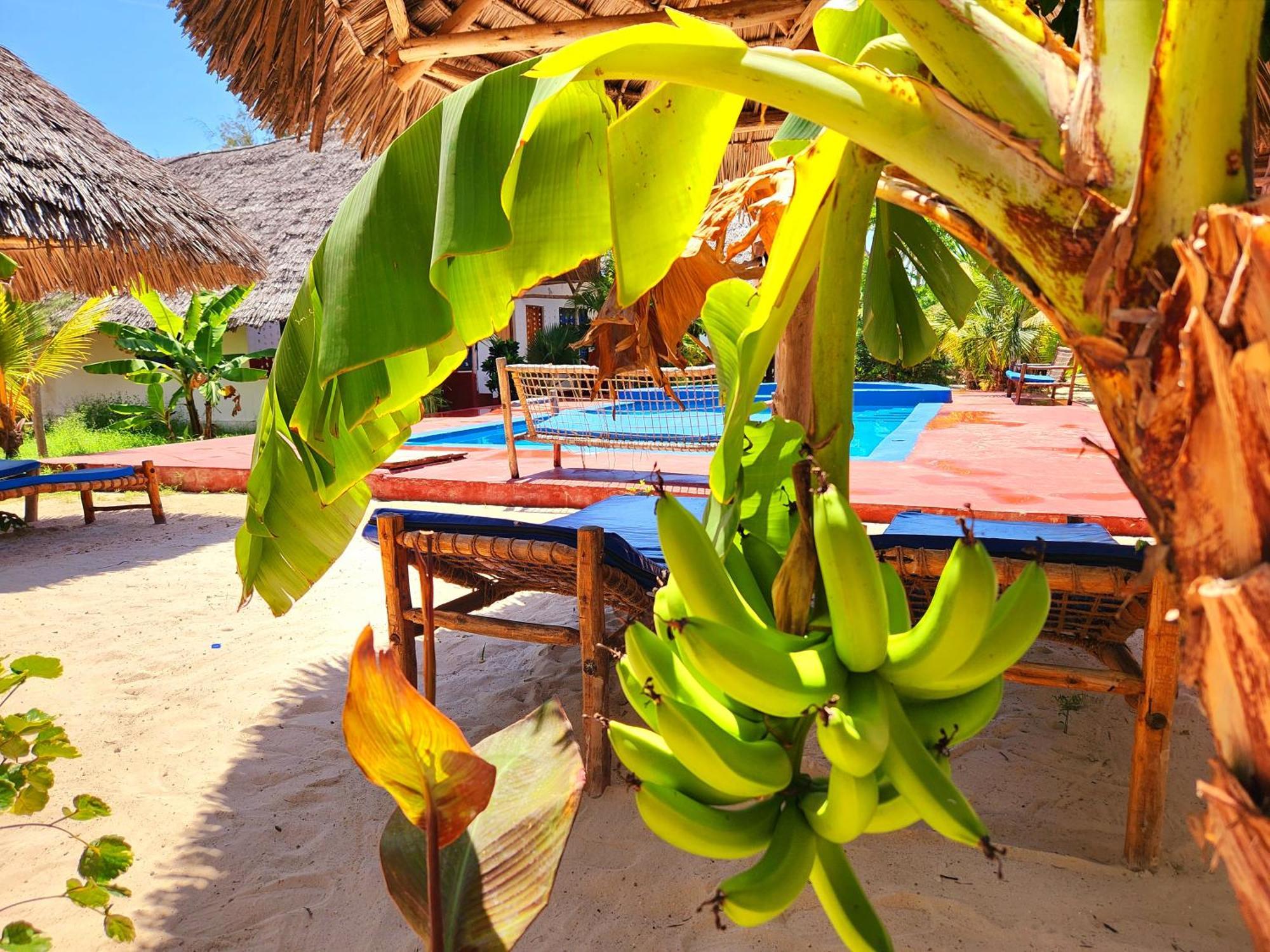 Mkeka Spice Lodge Jambiani Jambiani  Esterno foto