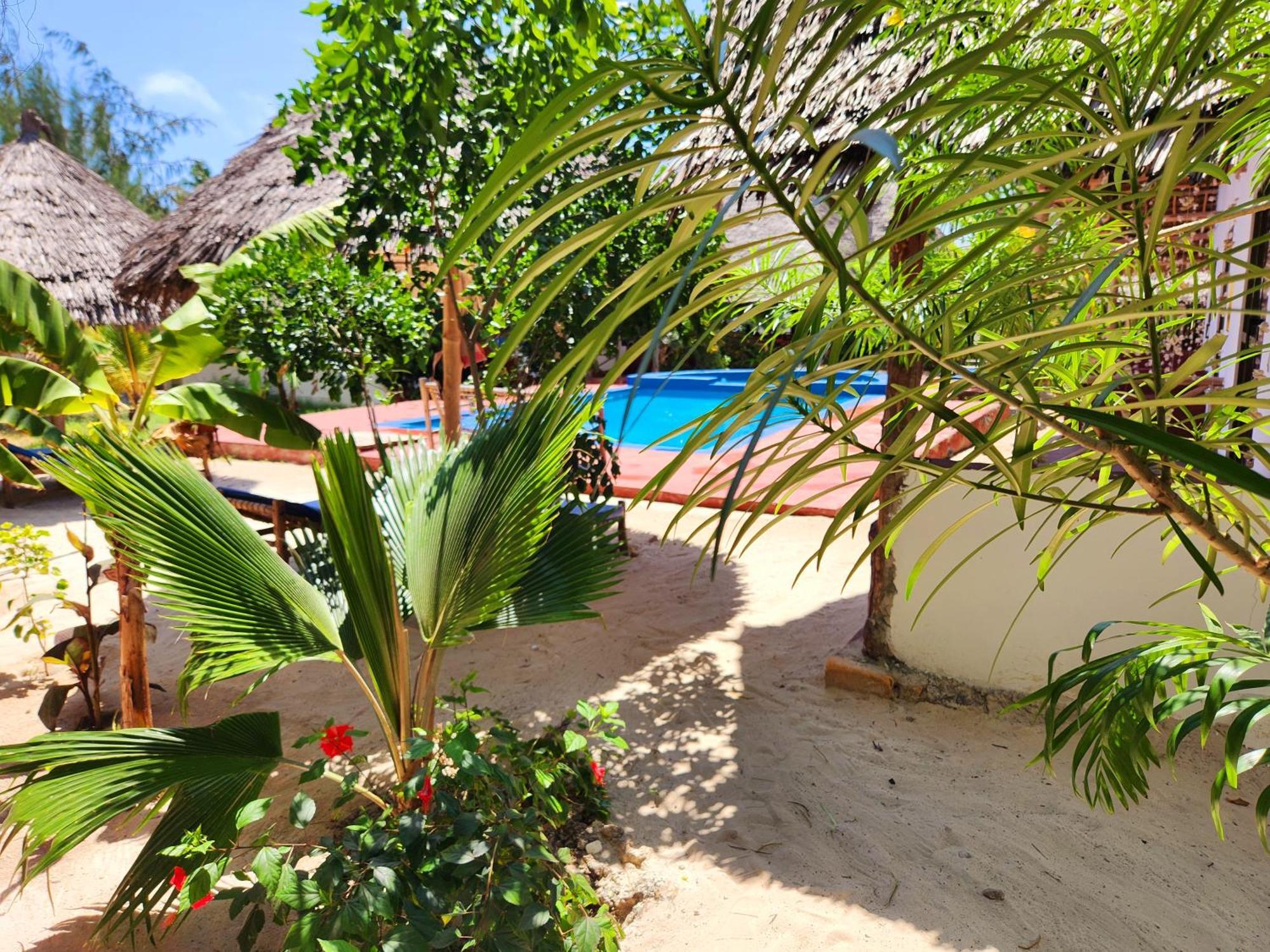 Mkeka Spice Lodge Jambiani Jambiani  Esterno foto